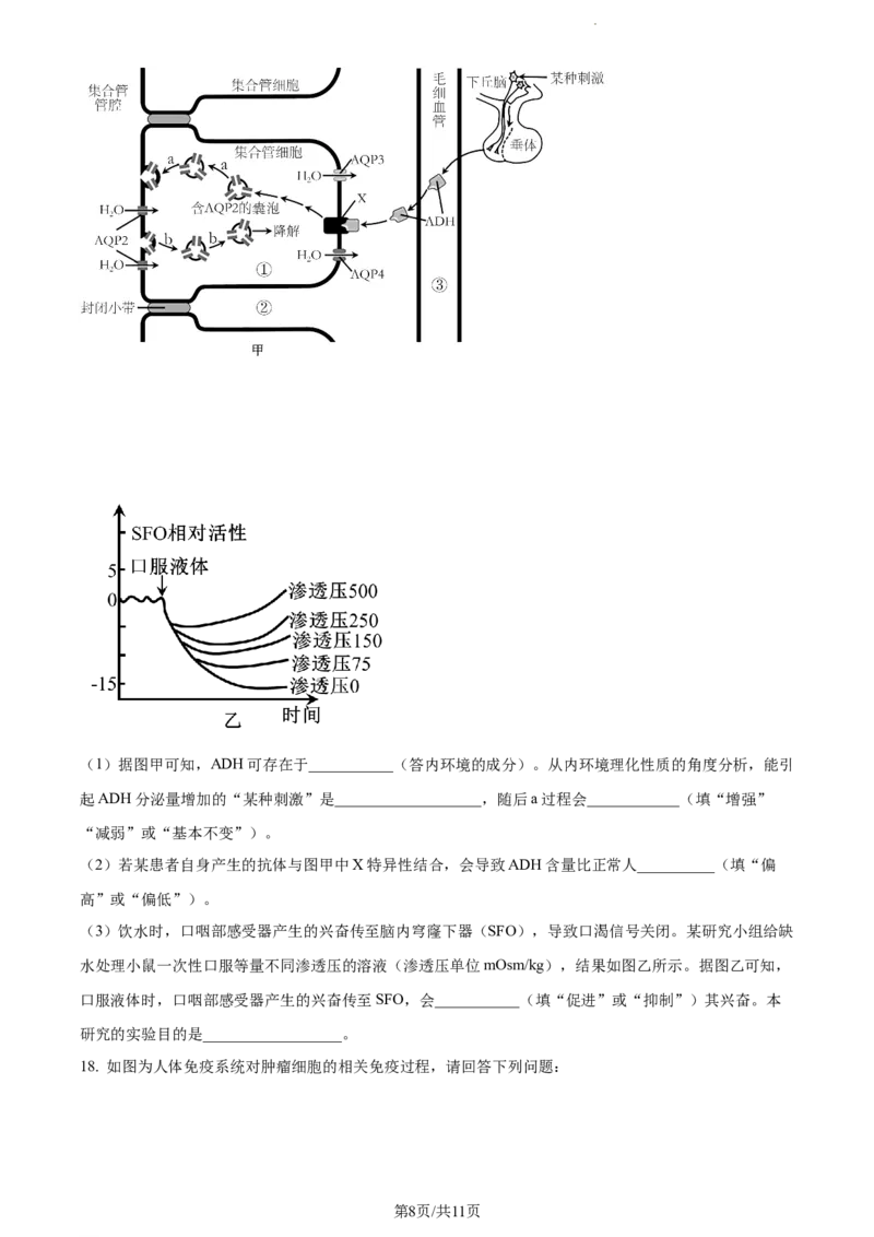 精品解析：重庆市一中2023-2024学年高三12月月考生物试题（原卷版）_2024届重庆市第一中学校高三上学期12月月考_重庆市第一中学校2024届高三上学期12月月考生物