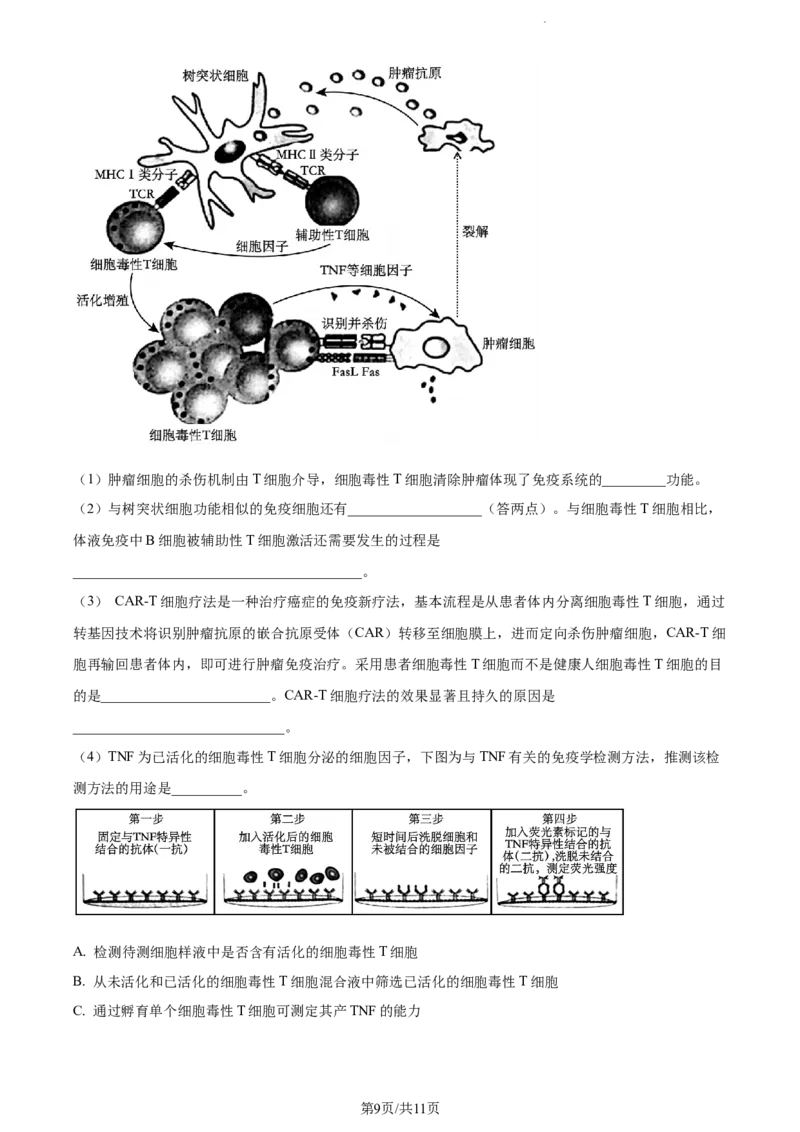 精品解析：重庆市一中2023-2024学年高三12月月考生物试题（原卷版）_2024届重庆市第一中学校高三上学期12月月考_重庆市第一中学校2024届高三上学期12月月考生物