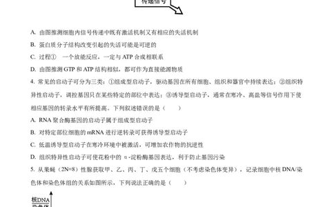 精品解析：重庆市一中2023-2024学年高三12月月考生物试题（原卷版）_2024届重庆市第一中学校高三上学期12月月考_重庆市第一中学校2024届高三上学期12月月考生物