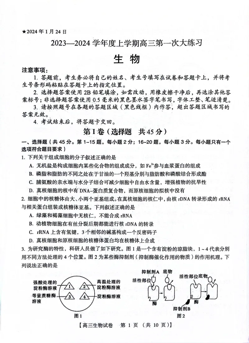 河南省三门峡市2023-2024学年度高三高三第一次大练习生物试题_2024届河南省三门峡市高三上学期第一次大练习_河南省三门峡市2024届高三上学期第一次大练习生物