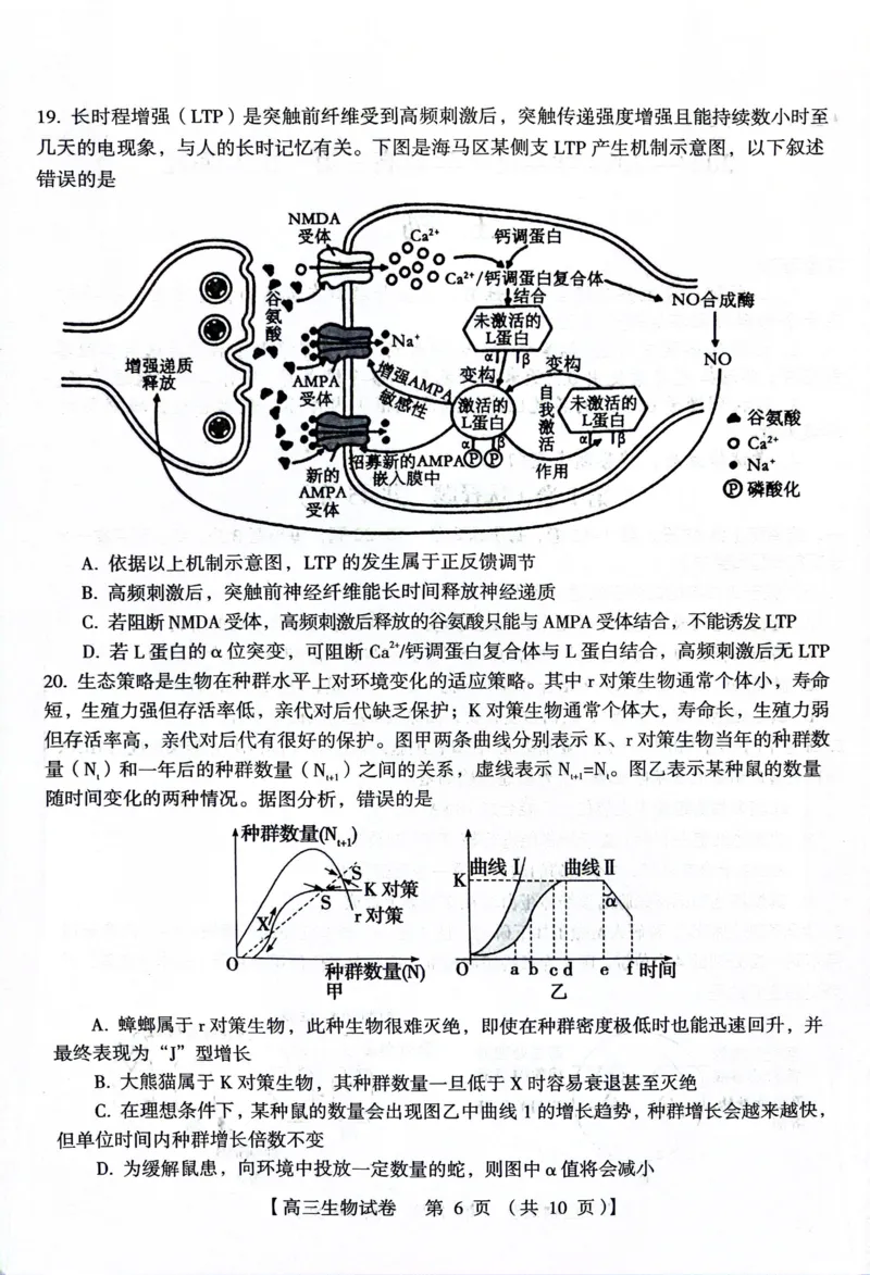 河南省三门峡市2023-2024学年度高三高三第一次大练习生物试题_2024届河南省三门峡市高三上学期第一次大练习_河南省三门峡市2024届高三上学期第一次大练习生物