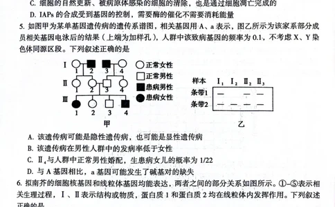 河南省三门峡市2023-2024学年度高三高三第一次大练习生物试题_2024届河南省三门峡市高三上学期第一次大练习_河南省三门峡市2024届高三上学期第一次大练习生物