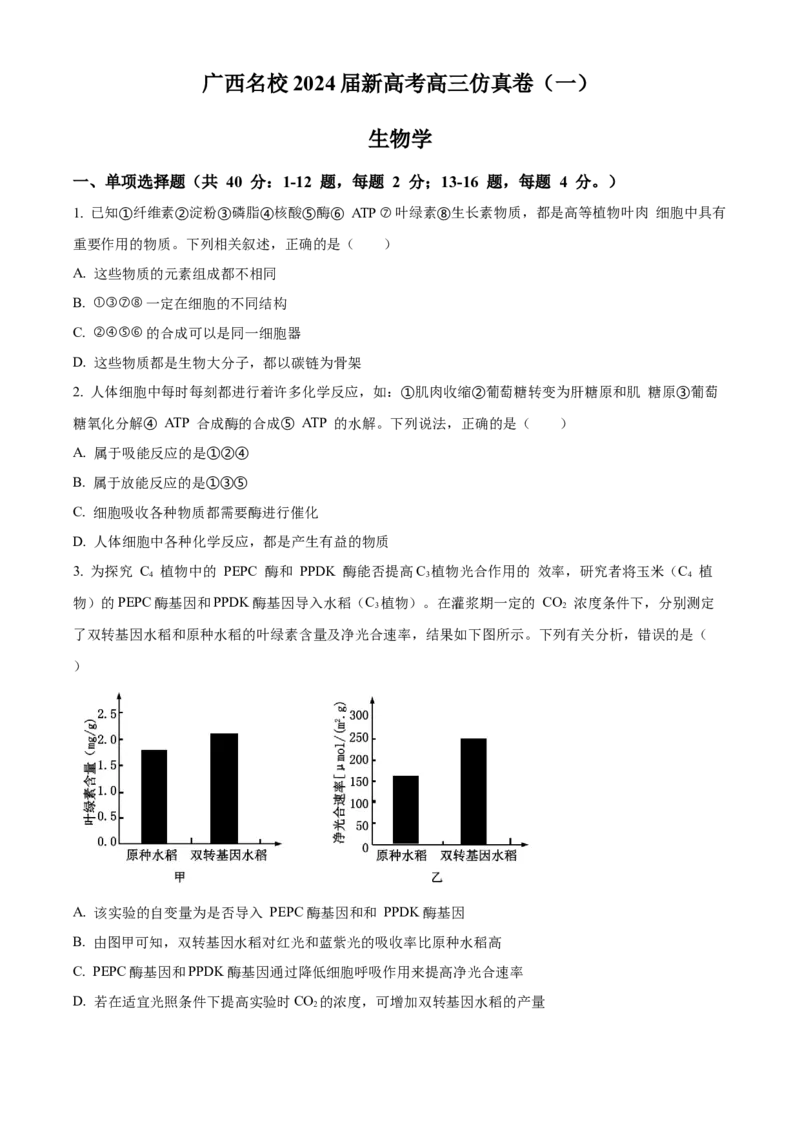 广西名校2024届高三上学期新高考仿真卷（一）生物_2024届广西名校高三上学期新高考仿真卷（一）