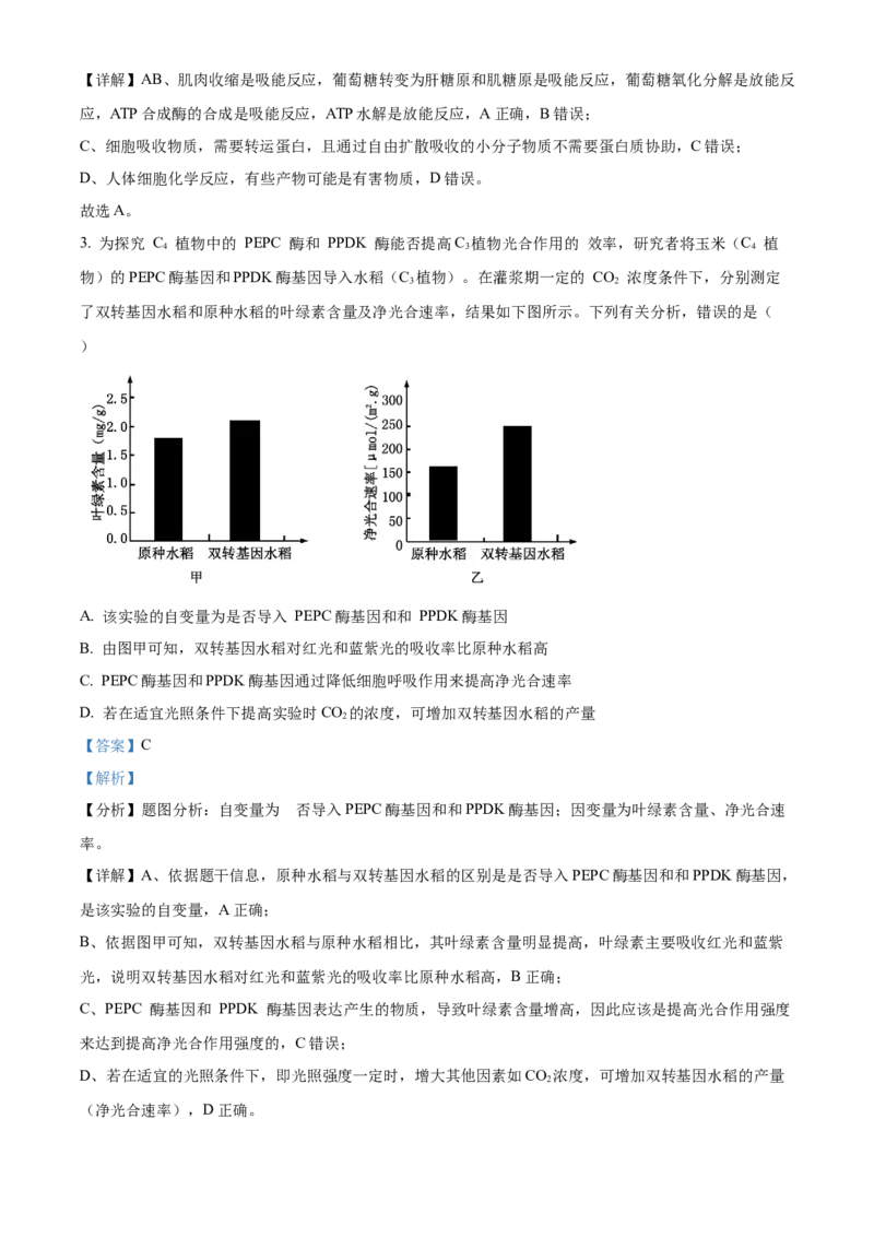 广西名校2024届高三上学期新高考仿真卷（一）生物_2024届广西名校高三上学期新高考仿真卷（一）