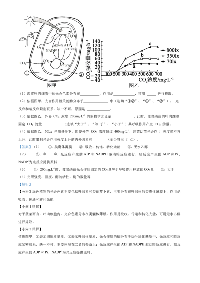 广西名校2024届高三上学期新高考仿真卷（一）生物_2024届广西名校高三上学期新高考仿真卷（一）