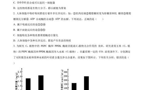 广西名校2024届高三上学期新高考仿真卷（一）生物_2024届广西名校高三上学期新高考仿真卷（一）