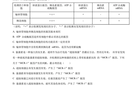 广西名校2024届高三上学期新高考仿真卷（一）生物_2024届广西名校高三上学期新高考仿真卷（一）