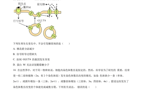 广西名校2024届高三上学期新高考仿真卷（一）生物_2024届广西名校高三上学期新高考仿真卷（一）