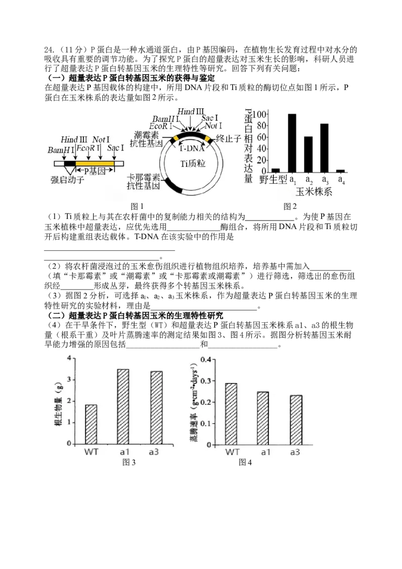 龙东高三生物学12月模拟试卷成稿_2025年12月_251211黑龙江省龙东十校联盟2026届高三上学期12月月考（全科）_黑龙江省龙东十校联盟2025-2026学年高三上学期12月月考生物试题（含答案）