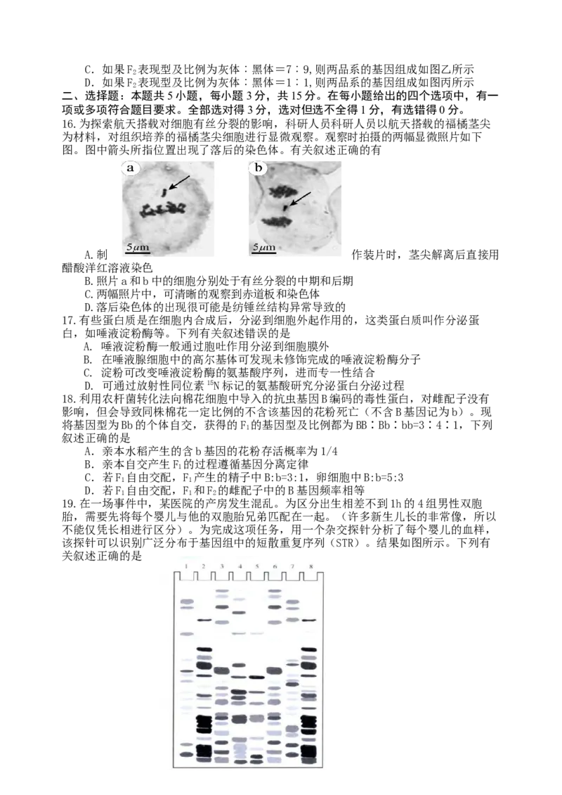 龙东高三生物学12月模拟试卷成稿_2025年12月_251211黑龙江省龙东十校联盟2026届高三上学期12月月考（全科）_黑龙江省龙东十校联盟2025-2026学年高三上学期12月月考生物试题（含答案）