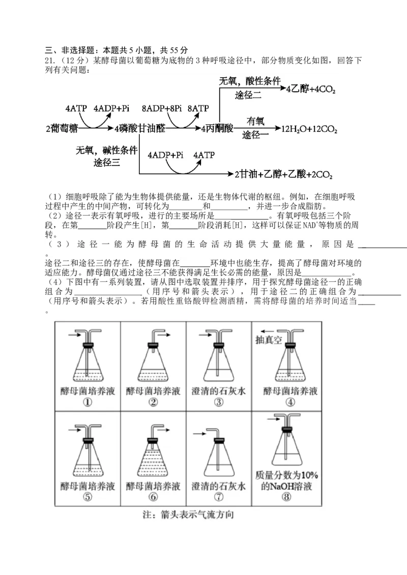 龙东高三生物学12月模拟试卷成稿_2025年12月_251211黑龙江省龙东十校联盟2026届高三上学期12月月考（全科）_黑龙江省龙东十校联盟2025-2026学年高三上学期12月月考生物试题（含答案）