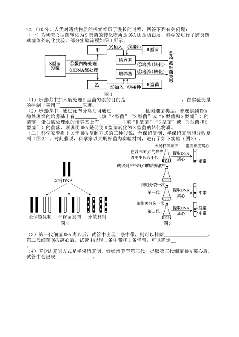 龙东高三生物学12月模拟试卷成稿_2025年12月_251211黑龙江省龙东十校联盟2026届高三上学期12月月考（全科）_黑龙江省龙东十校联盟2025-2026学年高三上学期12月月考生物试题（含答案）