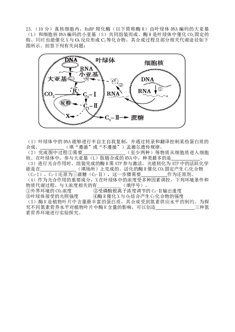 龙东高三生物学12月模拟试卷成稿_2025年12月_251211黑龙江省龙东十校联盟2026届高三上学期12月月考（全科）_黑龙江省龙东十校联盟2025-2026学年高三上学期12月月考生物试题（含答案）