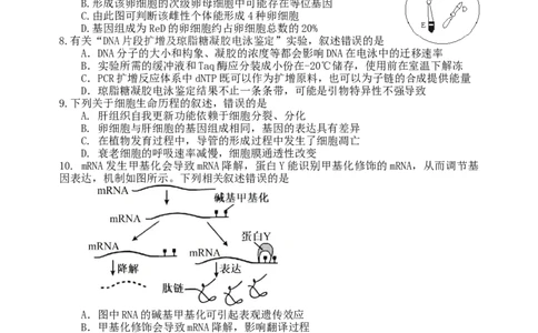 龙东高三生物学12月模拟试卷成稿_2025年12月_251211黑龙江省龙东十校联盟2026届高三上学期12月月考（全科）_黑龙江省龙东十校联盟2025-2026学年高三上学期12月月考生物试题（含答案）