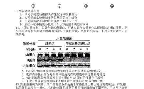 龙东高三生物学12月模拟试卷成稿_2025年12月_251211黑龙江省龙东十校联盟2026届高三上学期12月月考（全科）_黑龙江省龙东十校联盟2025-2026学年高三上学期12月月考生物试题（含答案）