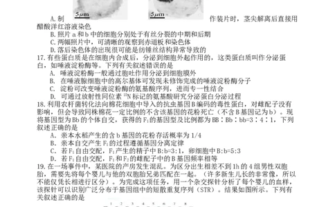 龙东高三生物学12月模拟试卷成稿_2025年12月_251211黑龙江省龙东十校联盟2026届高三上学期12月月考（全科）_黑龙江省龙东十校联盟2025-2026学年高三上学期12月月考生物试题（含答案）