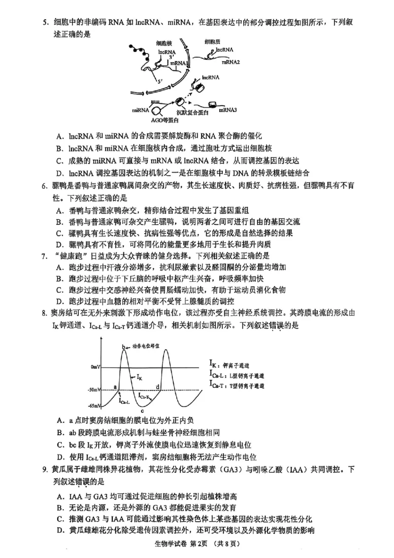 生物卷+标答镇江高三期中2512_2025年12月_251204江苏省镇江市2025-2026学年高三上学期期中质量监测（全科）