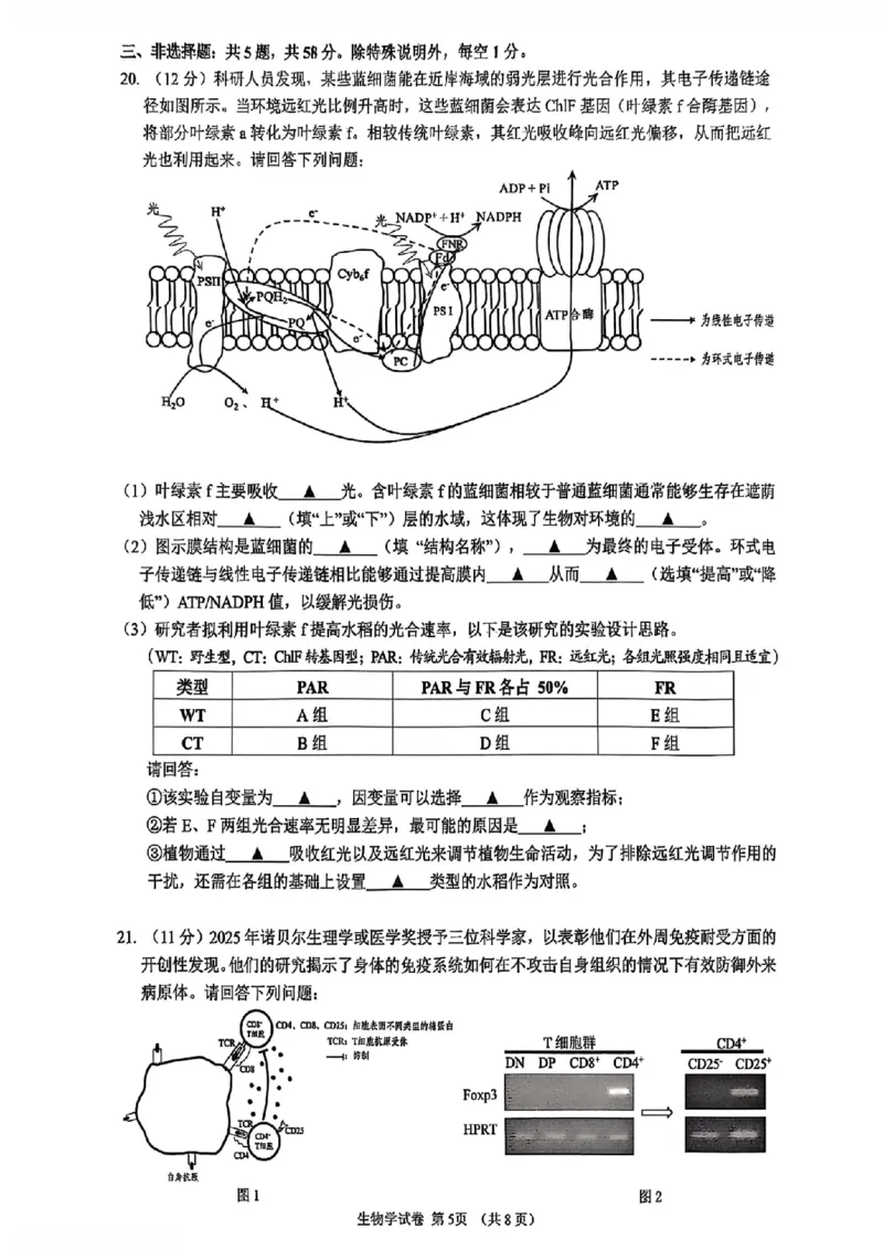 生物卷+标答镇江高三期中2512_2025年12月_251204江苏省镇江市2025-2026学年高三上学期期中质量监测（全科）