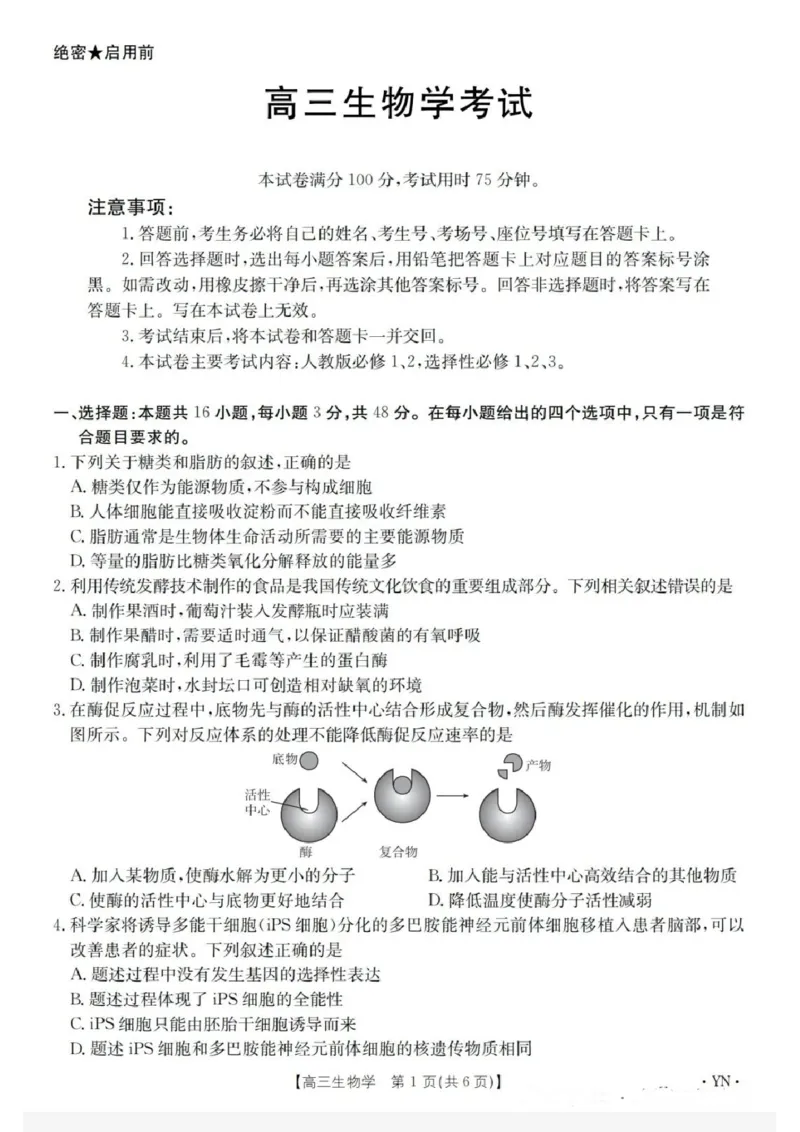金太阳百万联考&middot;云南省2026届高三11月考试(11.27)[YN]生物试题（含答案）_251129云南省金太阳百校联考2026届高三上学期11月联考