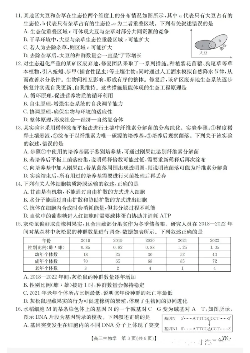 金太阳百万联考&middot;云南省2026届高三11月考试(11.27)[YN]生物试题（含答案）_251129云南省金太阳百校联考2026届高三上学期11月联考
