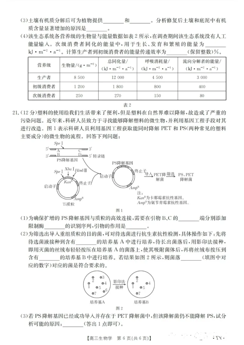 金太阳百万联考&middot;云南省2026届高三11月考试(11.27)[YN]生物试题（含答案）_251129云南省金太阳百校联考2026届高三上学期11月联考