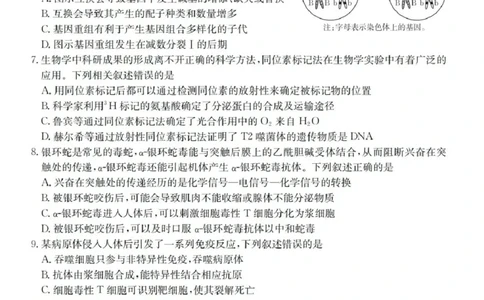 金太阳百万联考&middot;云南省2026届高三11月考试(11.27)[YN]生物试题（含答案）_251129云南省金太阳百校联考2026届高三上学期11月联考