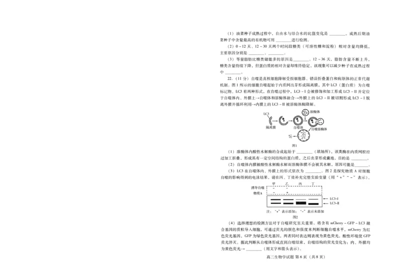 生物试卷(高二下期末考7.8-7.10)_2025年7月_250711山东省潍坊市2026届高二阶段性调研监测（高二下学期期末）(全科）