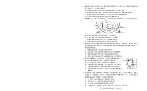 生物试卷(高二下期末考7.8-7.10)_2025年7月_250711山东省潍坊市2026届高二阶段性调研监测（高二下学期期末）(全科）