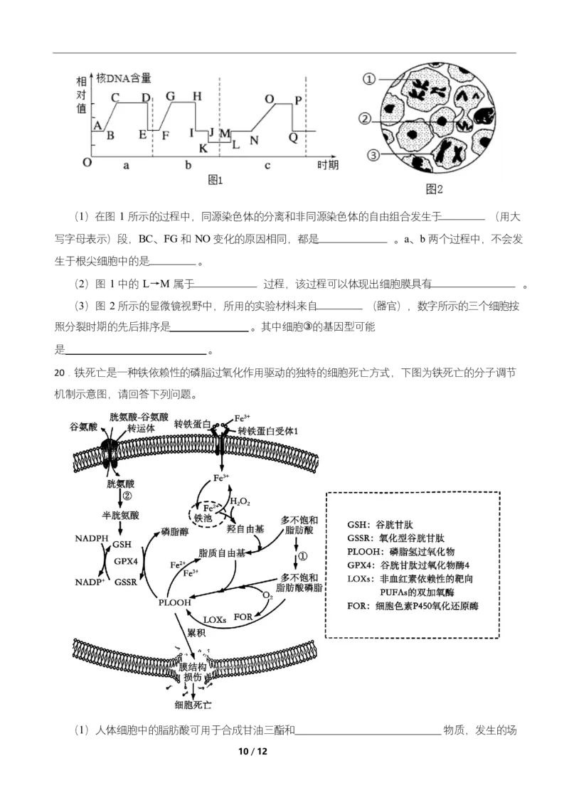 高二期末生物试卷_2025年7月_250709湖南省长沙市岳麓实验中学2024-2025学年高二下学期7月期末考试_湖南省长沙市岳麓实验中学2024-2025学年高二下学期7月期末考试生物Word版含解析