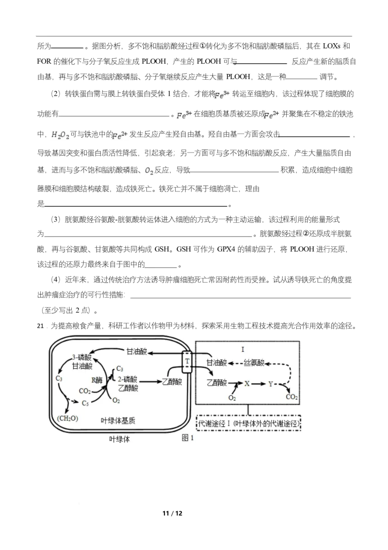 高二期末生物试卷_2025年7月_250709湖南省长沙市岳麓实验中学2024-2025学年高二下学期7月期末考试_湖南省长沙市岳麓实验中学2024-2025学年高二下学期7月期末考试生物Word版含解析