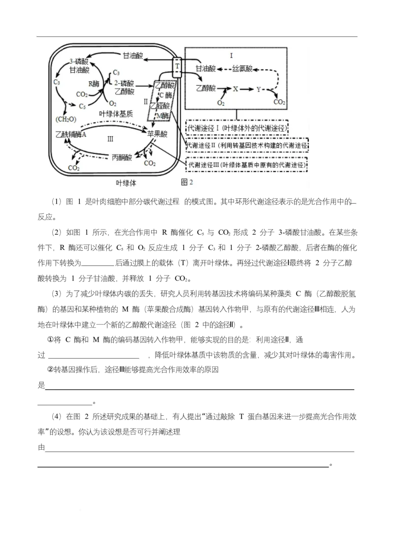高二期末生物试卷_2025年7月_250709湖南省长沙市岳麓实验中学2024-2025学年高二下学期7月期末考试_湖南省长沙市岳麓实验中学2024-2025学年高二下学期7月期末考试生物Word版含解析