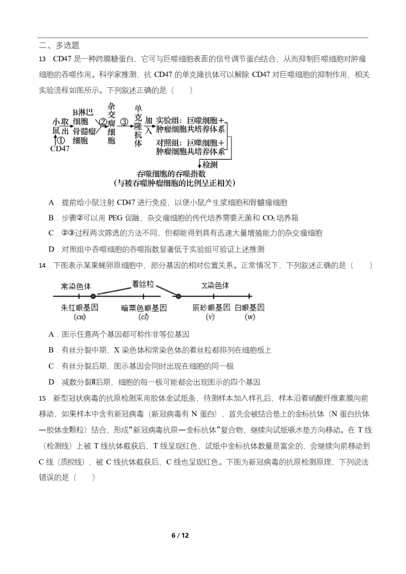 高二期末生物试卷_2025年7月_250709湖南省长沙市岳麓实验中学2024-2025学年高二下学期7月期末考试_湖南省长沙市岳麓实验中学2024-2025学年高二下学期7月期末考试生物Word版含解析
