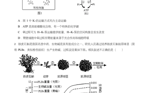 高二期末生物试卷_2025年7月_250709湖南省长沙市岳麓实验中学2024-2025学年高二下学期7月期末考试_湖南省长沙市岳麓实验中学2024-2025学年高二下学期7月期末考试生物Word版含解析