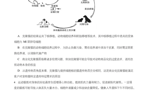 高二期末生物试卷_2025年7月_250709湖南省长沙市岳麓实验中学2024-2025学年高二下学期7月期末考试_湖南省长沙市岳麓实验中学2024-2025学年高二下学期7月期末考试生物Word版含解析