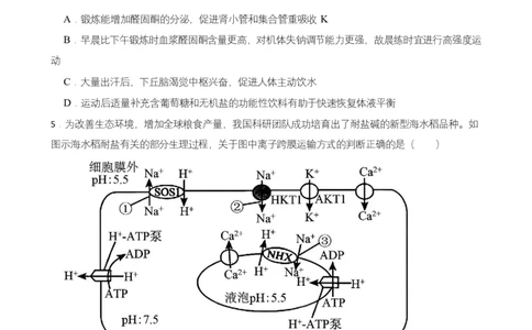 高二期末生物试卷_2025年7月_250709湖南省长沙市岳麓实验中学2024-2025学年高二下学期7月期末考试_湖南省长沙市岳麓实验中学2024-2025学年高二下学期7月期末考试生物Word版含解析