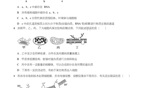 高二期末生物试卷_2025年7月_250709湖南省长沙市岳麓实验中学2024-2025学年高二下学期7月期末考试_湖南省长沙市岳麓实验中学2024-2025学年高二下学期7月期末考试生物Word版含解析