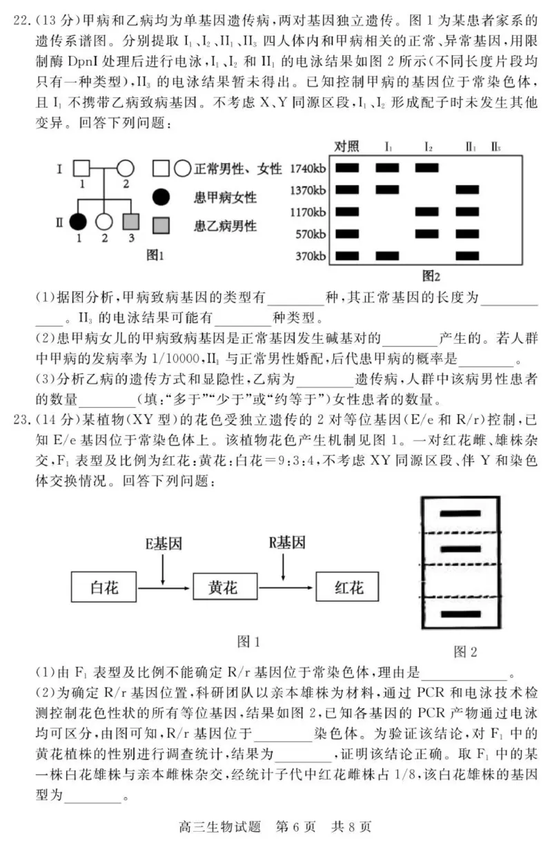 （教研室提供）山东省济宁市兖州区2025-2026学年高三上学期期中生物试题_2025年12月_251208山东省济宁市兖州区2025-2026学年高三上学期期中（全科）