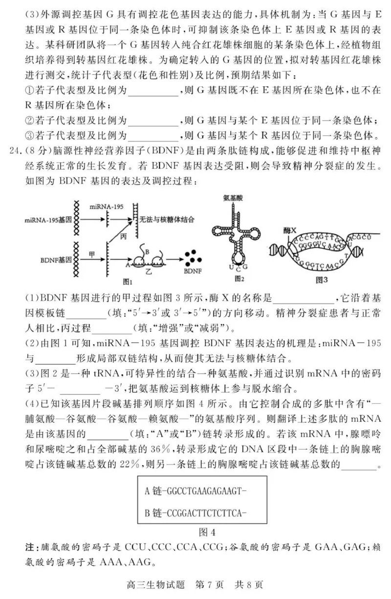 （教研室提供）山东省济宁市兖州区2025-2026学年高三上学期期中生物试题_2025年12月_251208山东省济宁市兖州区2025-2026学年高三上学期期中（全科）