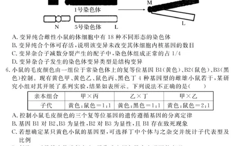 （教研室提供）山东省济宁市兖州区2025-2026学年高三上学期期中生物试题_2025年12月_251208山东省济宁市兖州区2025-2026学年高三上学期期中（全科）