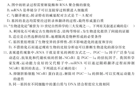 （教研室提供）山东省济宁市兖州区2025-2026学年高三上学期期中生物试题_2025年12月_251208山东省济宁市兖州区2025-2026学年高三上学期期中（全科）