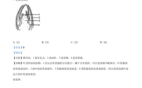 精品解析：2022年山东省烟台中考生物真题（解析版）_中考真题_8.生物中考真题2015-2024年_2022年全国中考生物114份14