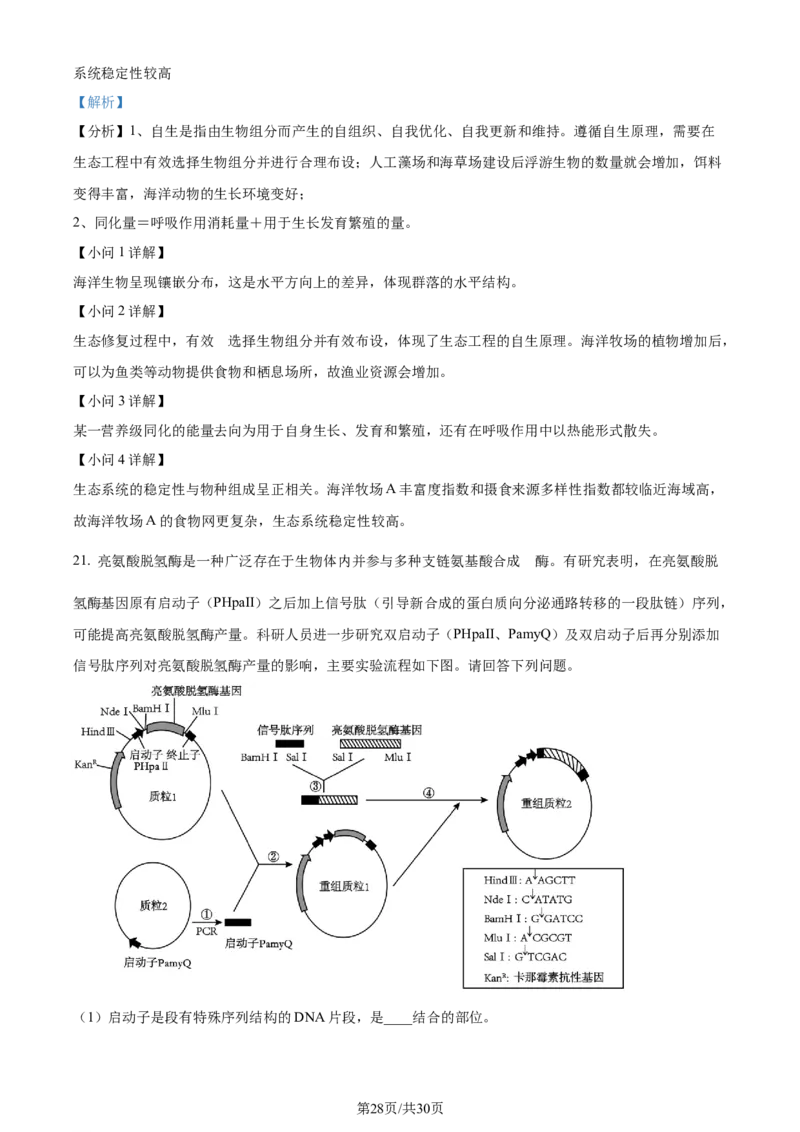 生物-湖南省长沙市一中2024届高三月考五_2024届湖南省长沙市一中高三月考五
