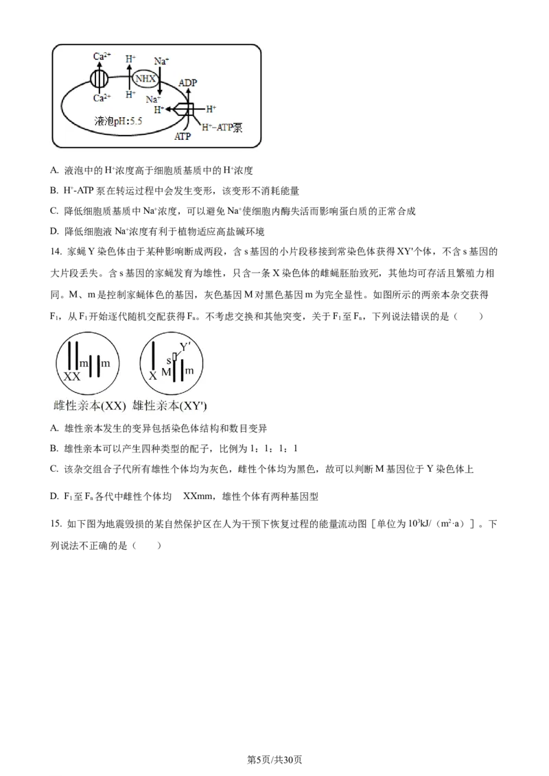 生物-湖南省长沙市一中2024届高三月考五_2024届湖南省长沙市一中高三月考五
