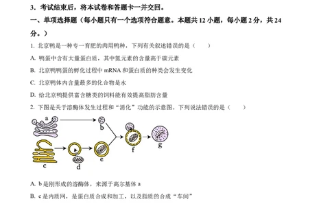 生物-湖南省长沙市一中2024届高三月考五_2024届湖南省长沙市一中高三月考五