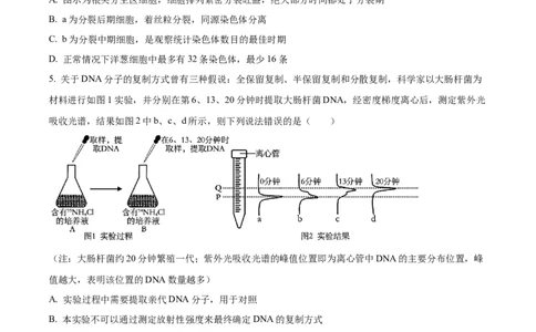 生物-湖南省长沙市一中2024届高三月考五_2024届湖南省长沙市一中高三月考五