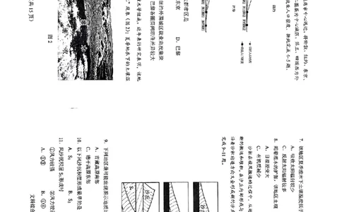 历史（九省联考●河南卷）丨2024年1月普通高等学校招生全国统一考试适应性测试历史试卷及答案_全科2024届九省联考河南卷2024年1月普通高等学校招生全国统一考试适应性测试