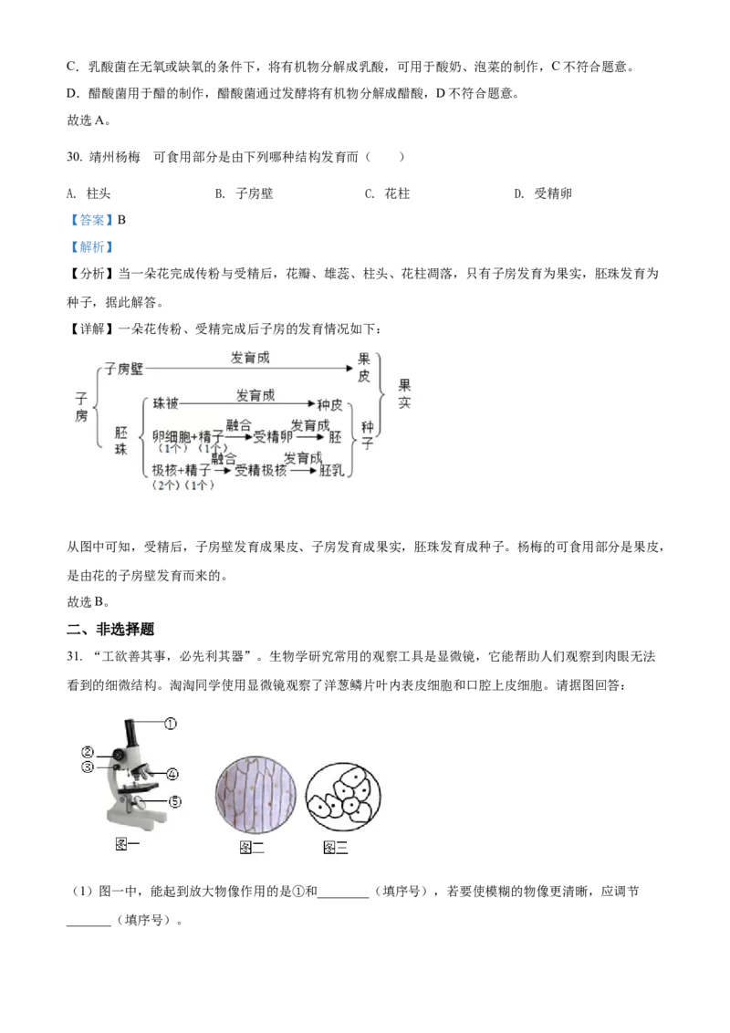 精品解析：2022年湖南省怀化市中考生物真题（解析版）_中考真题_8.生物中考真题2015-2024年_地区卷_湖南省_怀化生物（只有2022