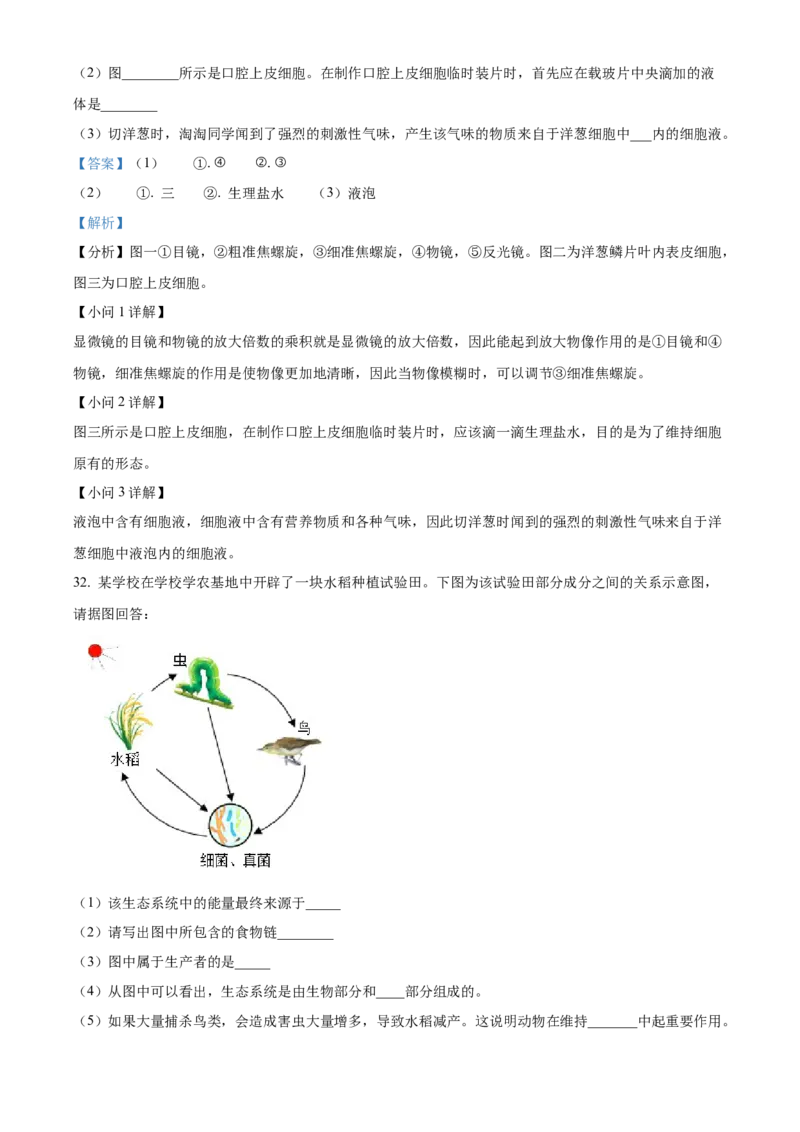 精品解析：2022年湖南省怀化市中考生物真题（解析版）_中考真题_8.生物中考真题2015-2024年_地区卷_湖南省_怀化生物（只有2022