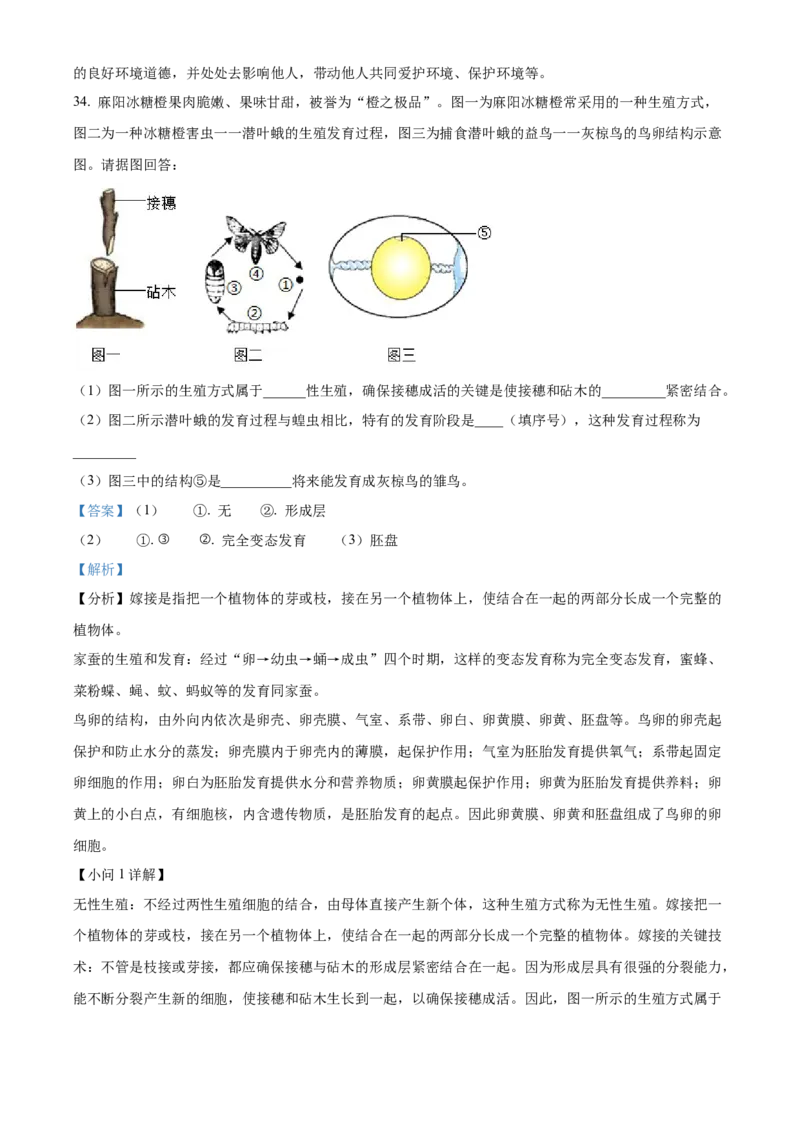 精品解析：2022年湖南省怀化市中考生物真题（解析版）_中考真题_8.生物中考真题2015-2024年_地区卷_湖南省_怀化生物（只有2022