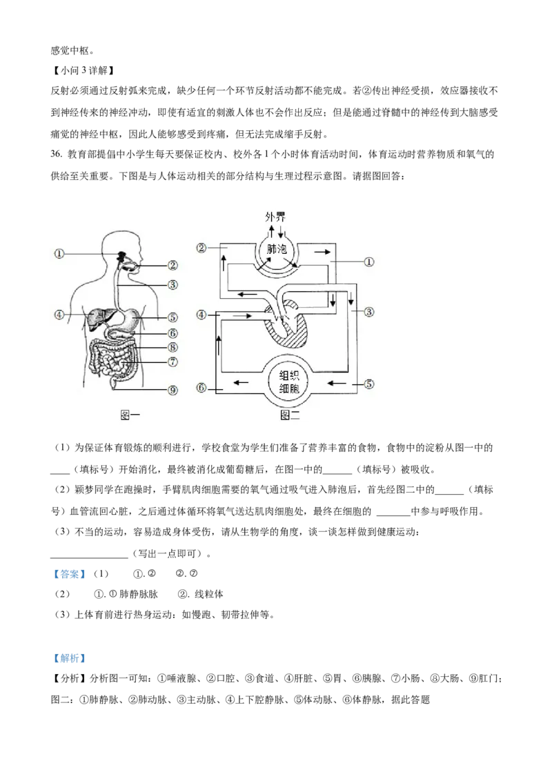 精品解析：2022年湖南省怀化市中考生物真题（解析版）_中考真题_8.生物中考真题2015-2024年_地区卷_湖南省_怀化生物（只有2022